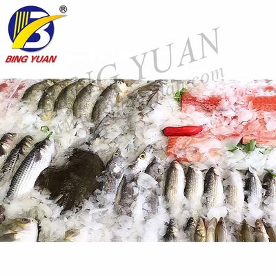 Bán buôn Máy làm đá vảy hiệu suất cao Tiết kiệm năng lượng Máy làm đá vảy