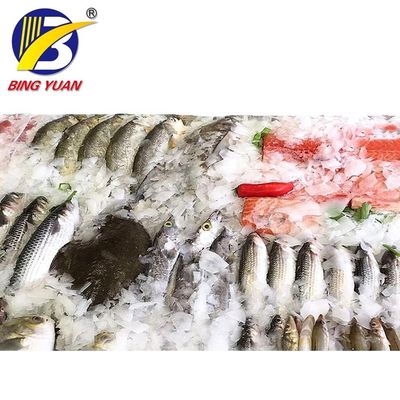 Máy làm đá vảy tuyết Yixing ICS hiệu suất cao trên thuyền đánh cá