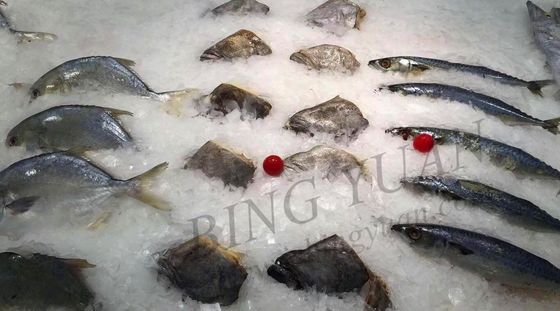 Máy làm đá vảy công suất hàng ngày 30 tấn, Máy làm đá tự động tiết kiệm năng lượng