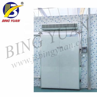 200KW 200mm R22 450V Phòng lưu trữ lạnh cho trái cây và rau quả